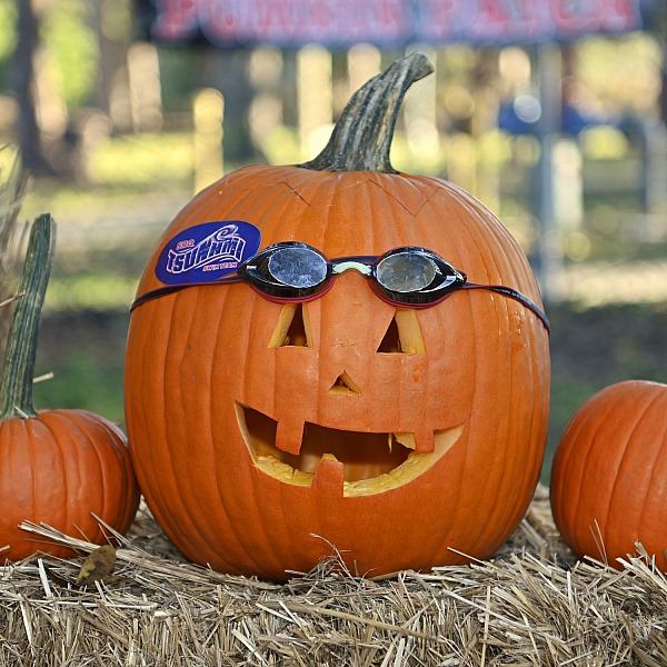 2022 TYR Pumpkinfest at Arlington Park, Sarasota Oct 8th - 9th